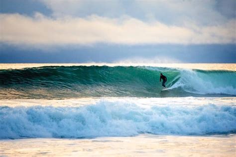 Can you surf in Venice beach Florida?