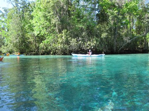 Can You Swim At Crystal Springs Florida?