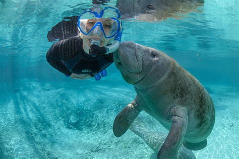 Can you swim in Florida in January?