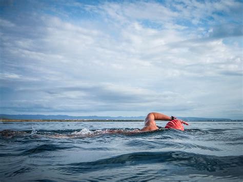 Can you swim in the ocean in Tampa?