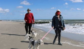 Can You Take Dogs To Ocean City?