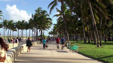 Can You Walk All Of Miami Beach?