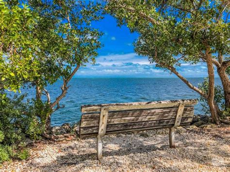 Can You Walk In Biscayne National Park?