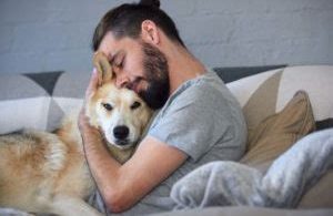 Do Dogs Know They Are Loved?