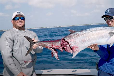 Do fish bite at night in Florida?