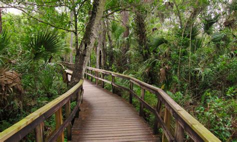 Do Florida state parks cost money?