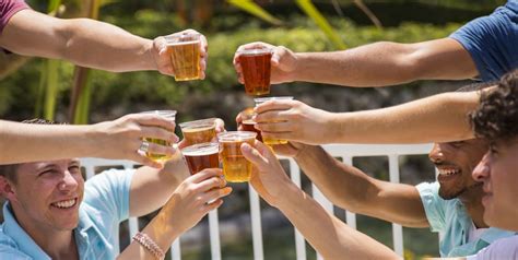 Do you get free beer at Busch Gardens Tampa?