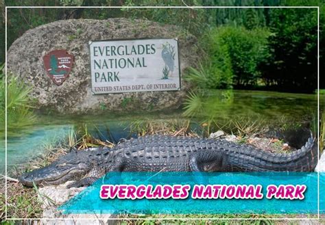 Do You Need A Car For Everglades National Park?