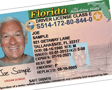 Do You Need A License To Camp In Florida?