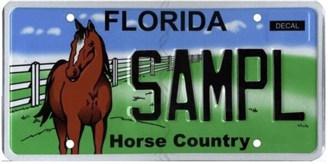 Do You Need A License To Ride A Horse In Florida?