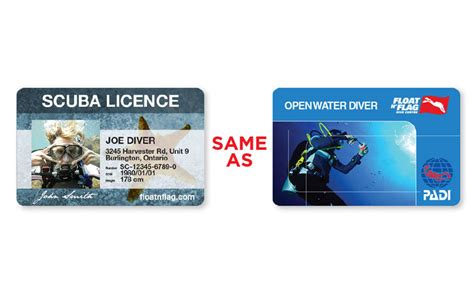 Do You Need A License To Scuba Dive In Florida?