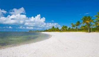 Do You Need A License To Snorkel In Florida?