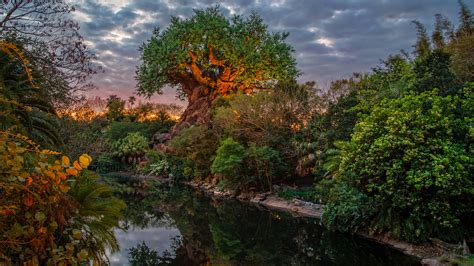 Do You Need A Whole Day For Animal Kingdom?