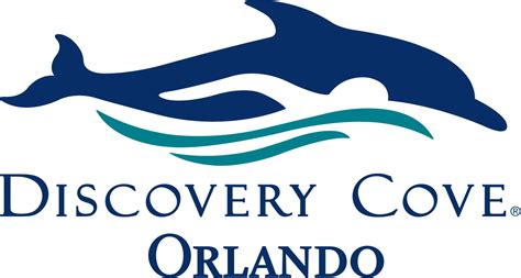 Does Discovery Cove Have Free Beer?