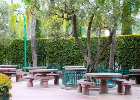 Does Disney have picnic areas?