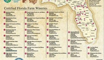 Does Florida Have A Wine Region?