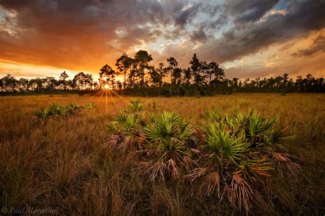 Does Florida have nature?