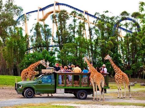 Does It Cost Extra To See The Animals At Busch Gardens Tampa?