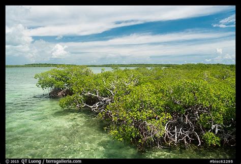 Does Key Biscayne Have Clear Water?