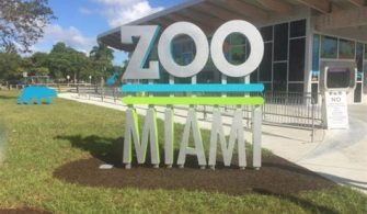 Does Miami Have A Zoo?