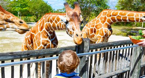 Does Orlando have a zoo?