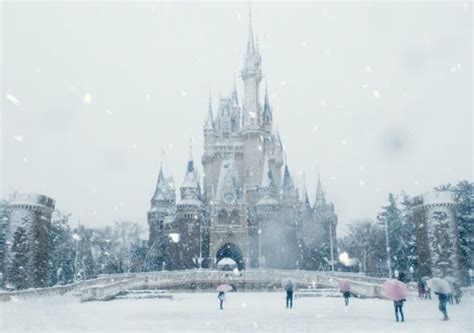 Has it ever snowed in Disney World?