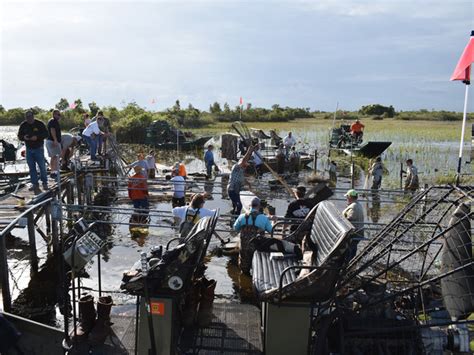 How Clean Is The Everglades Water?