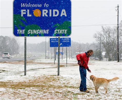 How cold does it get in Florida in the winter?