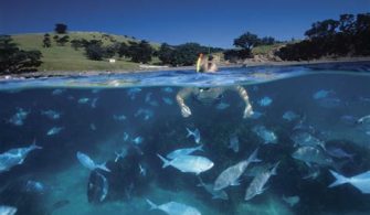 How Deep Is The Water By Goat Island?