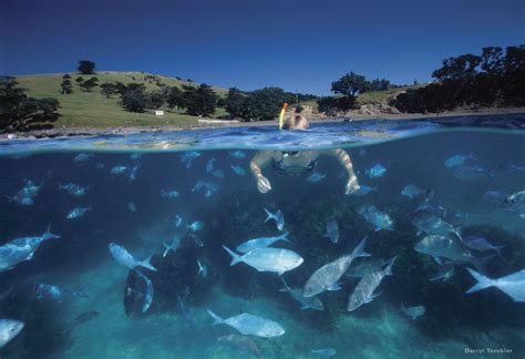 How deep is the water by Goat Island?