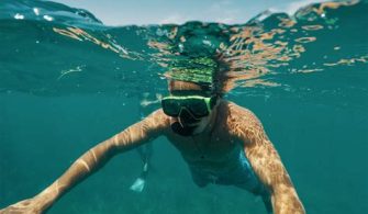 How Do You Snorkel In Biscayne National Park?