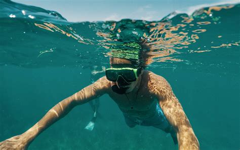 How do you snorkel in Biscayne National Park?