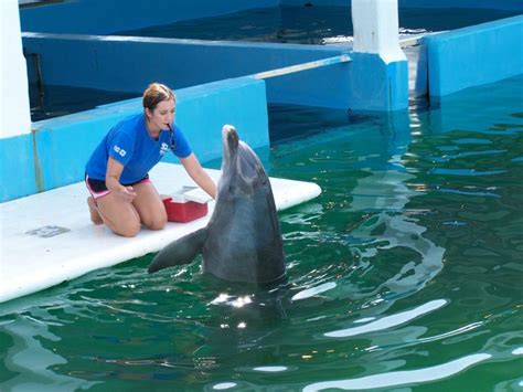 How Long Do People Spend At Clearwater Aquarium?