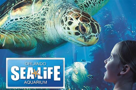 How long do people spend at SEA LIFE Orlando?