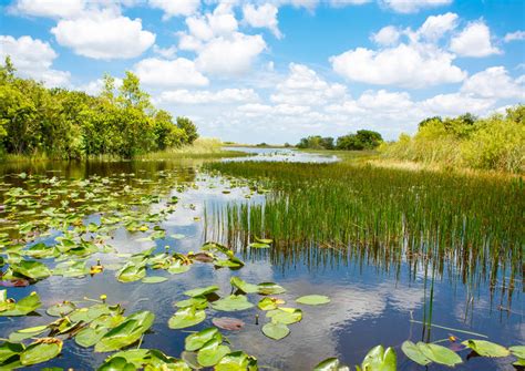 How Long Do People Spend In Everglades National Park?