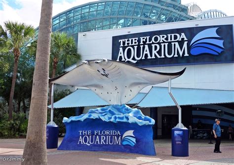 How long do you need for The Florida Aquarium?