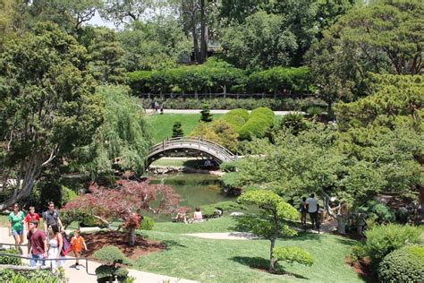 How Long Does It Take To Go Through Huntington Botanical Gardens?