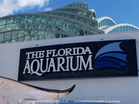 How Long Does It Take To Go Through The Florida Aquarium On Average?