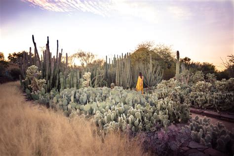 How long does it take to walk through the Desert Botanical Garden?