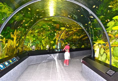 How Long Does It Take To Walk Through The Orlando Aquarium?