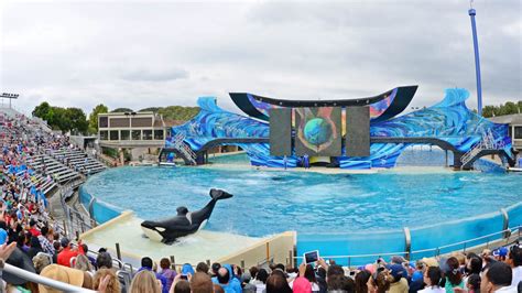 How long should I spend in SeaWorld?