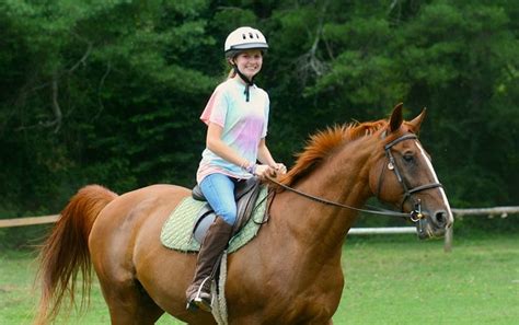 How Long Should You Wait To Ride A Horse?