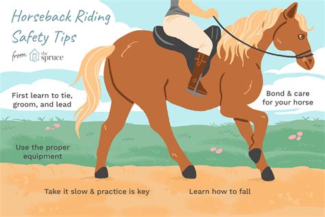 How Many Times A Day Should You Ride Your Horse?