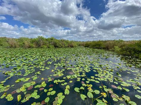 How many waterfalls are in Everglades National Park?