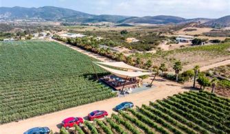 How Many Wineries Are In Valle De Guadalupe?