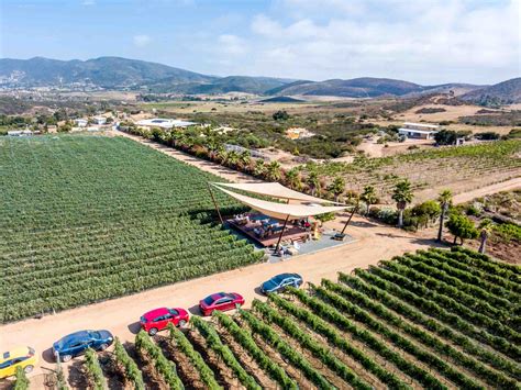 How many wineries are in Valle de Guadalupe?