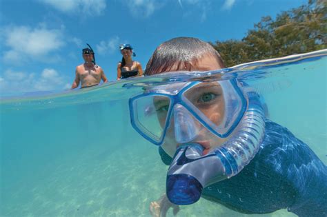 How much do you tip on a snorkel trip?