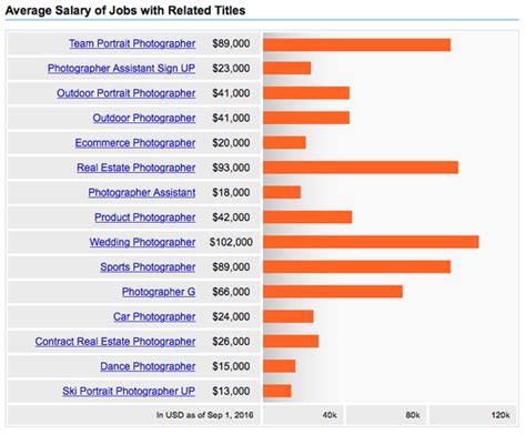 How Much Does A Professional Photographer Make?