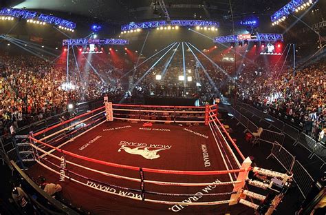 How Much Does It Cost To Go To A Boxing Fight In Vegas?