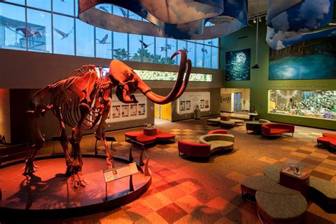 How Much Does It Cost To Go To Florida Museum Of Natural History?